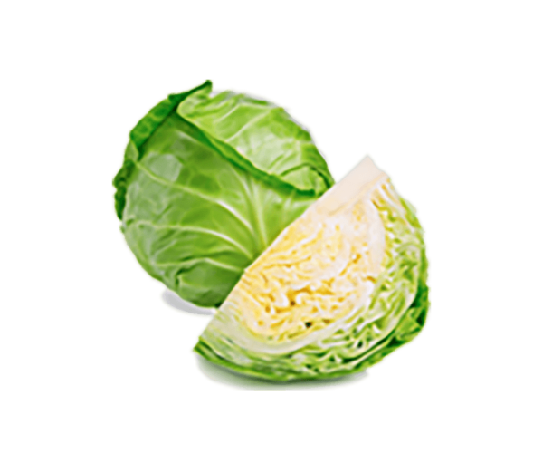 Organic Cabbage